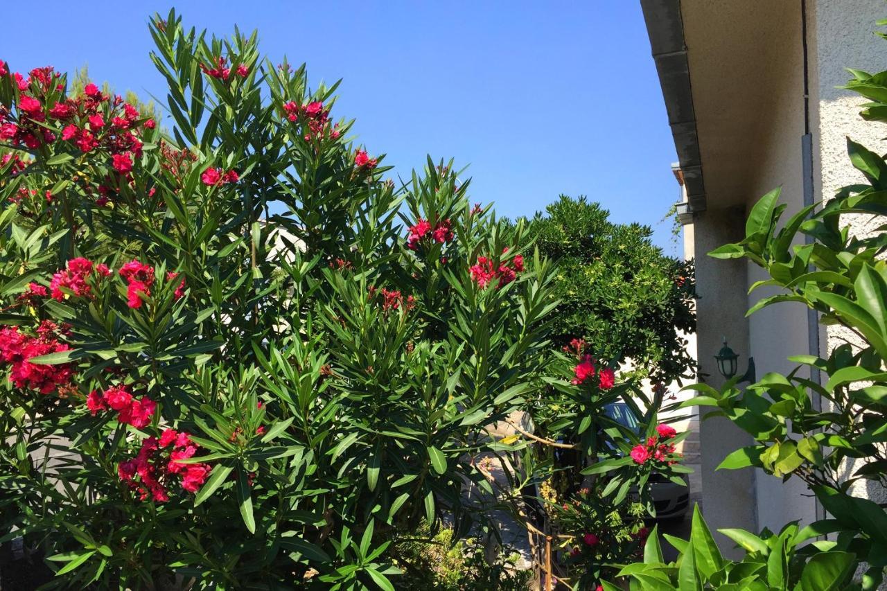 Apartments By The Sea Orebic, Peljesac - 11450 Exterior foto